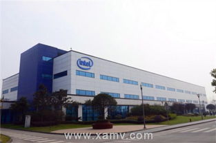 機器視覺與工業(yè)機器人在智能制造中的應用——維視智造技術服務探索